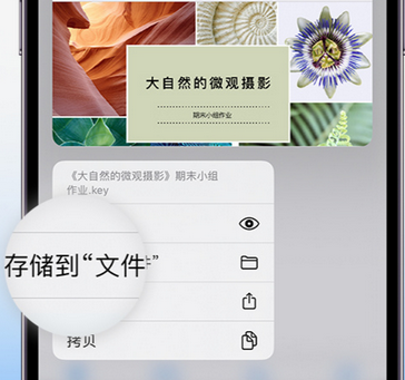 北川apple维修中心分享iPhone文件应用中存储和找到下载文件