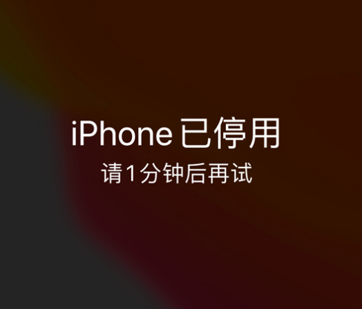 北川苹果手机维修分享:iPhone 显示“不可用”或“已停用”怎么办？还能保留数据吗？ 