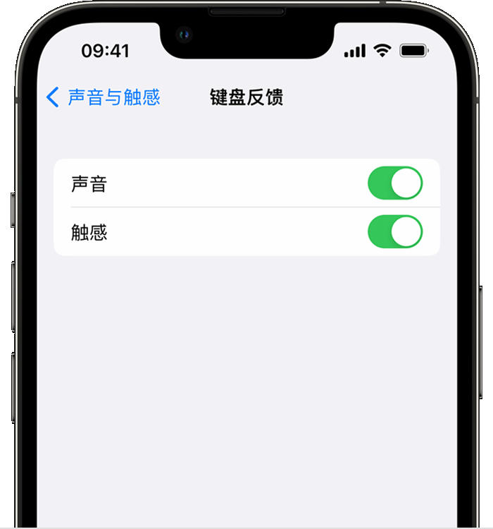 北川苹果14维修店分享如何在 iPhone 14 机型中使用触感键盘 