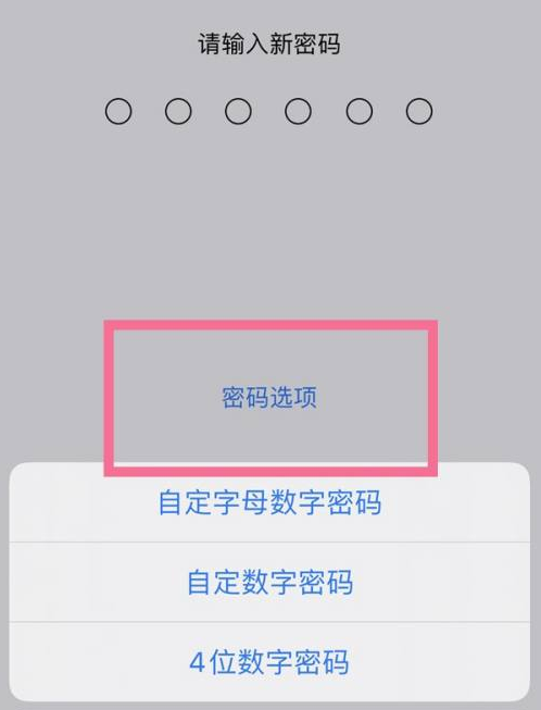 北川苹果14维修分享iPhone 14plus设置密码的方法 