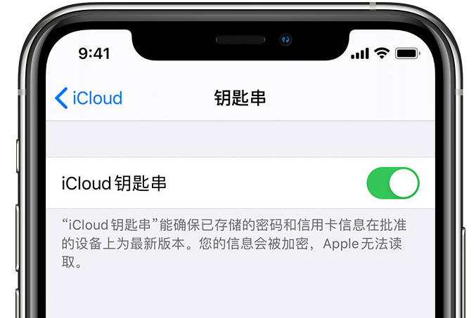 北川苹果手机维修分享在 iPhone 上开启 iCloud 钥匙串之后会储存哪些信息 